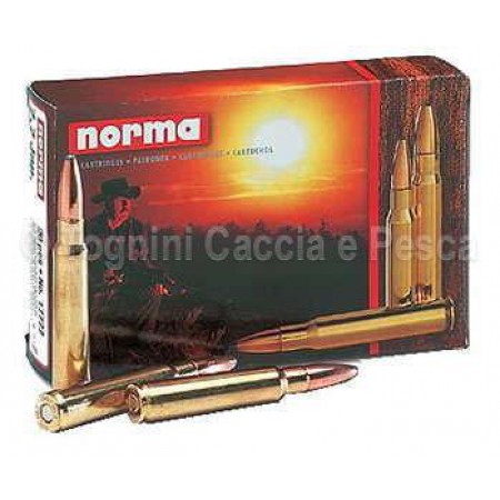 NORMA PLASTIC POINT 300W.MAG.